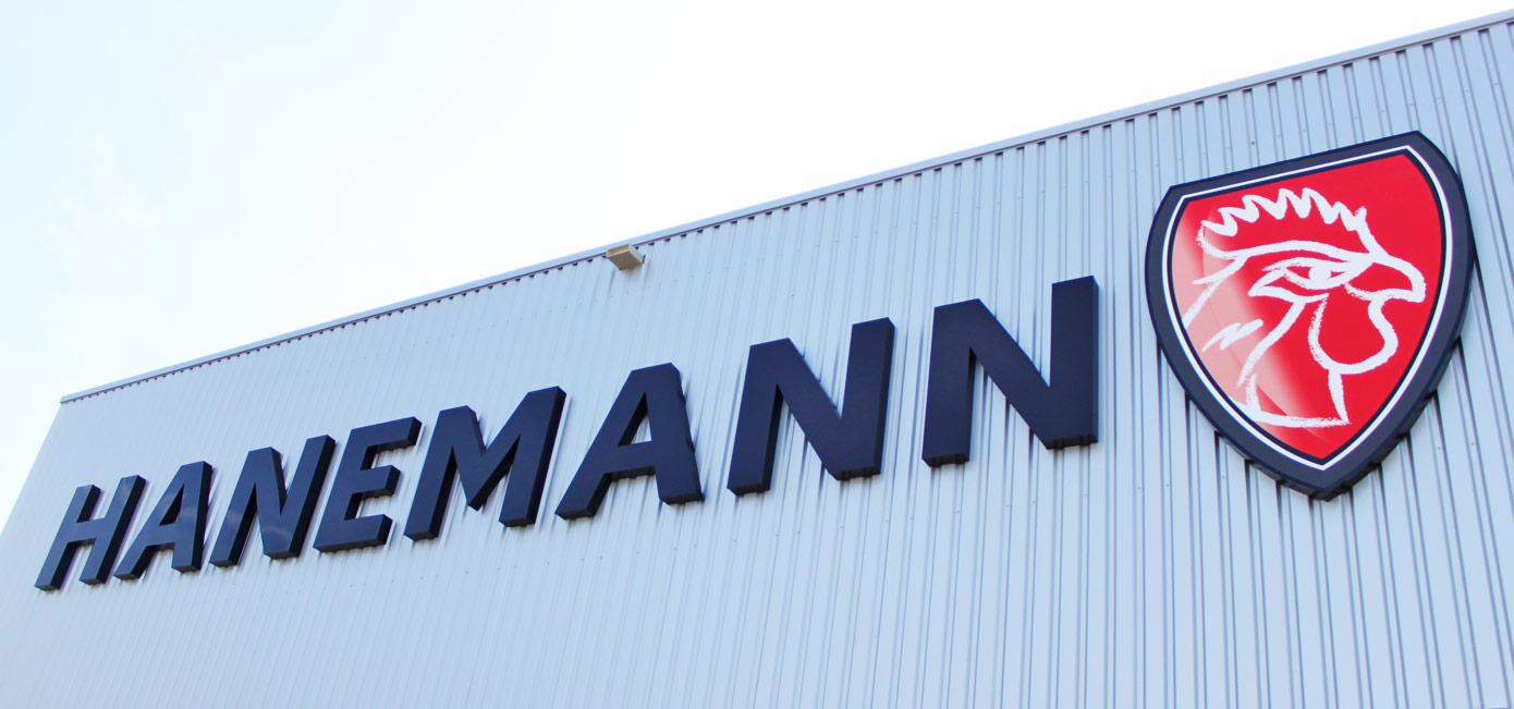 Hanemann